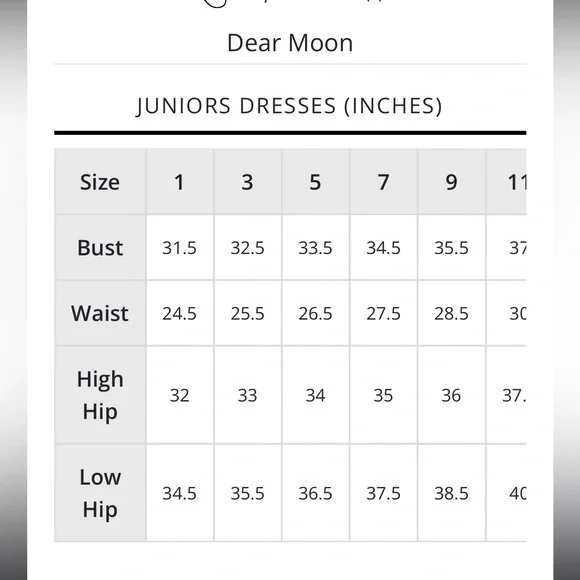 NWT!! DEAR MOON FORMAL FLORAL DRESS AVAILABLE IN SIZE 3 & 7 - Picture 3 of 3